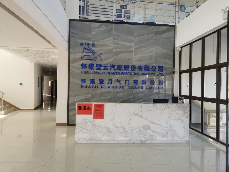 懷集登月氣門網絡工程